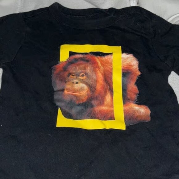 Gildan Other - Nation Geographic Orangutan Graphic T Shirt